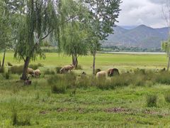 -泸沽湖国家级风景名胜区走婚桥