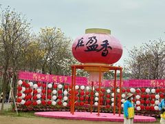 -盈香心动乐园