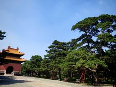 -北陵公园