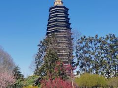 -红梅公园