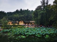 -韶山毛泽东同志故居