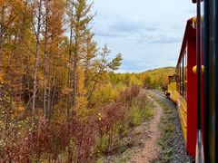 -莫尔道嘎国家森林公园