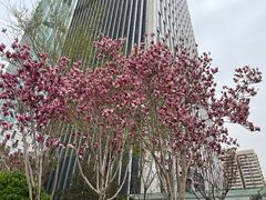 -小白楼1902欧式风情街