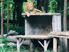 -清迈夜间动物园