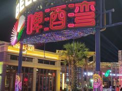 -三亚海昌梦幻海洋不夜城