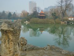 -西苑公园