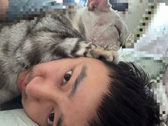 -北京观赏动物医院·24小时大型综合·猫专科·异宠专科