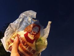 -郭阿姨月亮馍