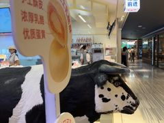 -红星前进面包牛奶公司(君太店)