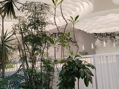 -大树餐厅(红旗街万达店)