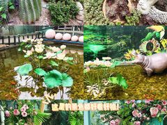 -正佳雨林生态植物园