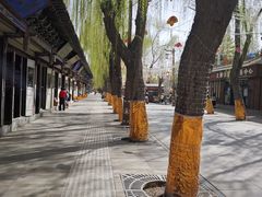 -张掖大佛寺景区