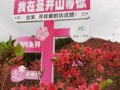 -瑞安圣井山景区