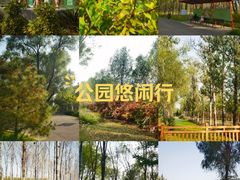 -东郊湿地公园