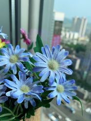 -丽美妍医疗美容·皮秒·立体分层抗衰
