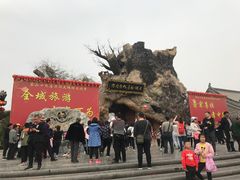 -大槐树寻根祭祖园