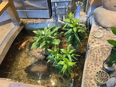 -木槿花韩式炭烤·熟成肉工坊(孙文东路店)