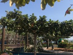 -三亚亚龙湾天域度假酒店