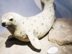 -中国湿地博物馆