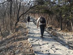 -阳台山自然风景区