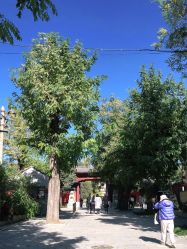 -Chateauform船山书院