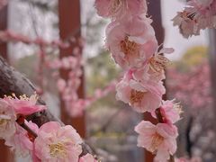 -静安雕塑公园