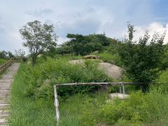 -白水寺森林公园