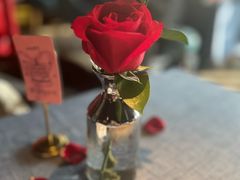 -弦月窗LUNETTE BY AMANDA(复兴路店)