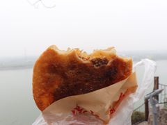 -安工大饼庞家肉饼