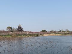 -上海海湾国家森林公园