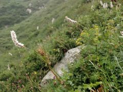 -灵山