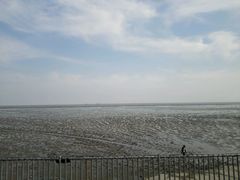 -碧海金沙
