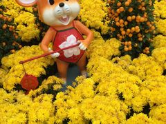-珠海圆明新园