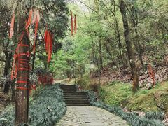 -梦姑塘文化公园