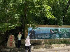 -三块石国家森林公园