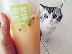 -奈雪的茶(漫广场店)