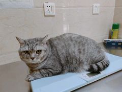 -仁华宠物医院(青羊店)