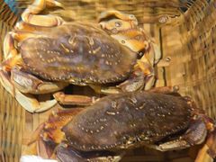 -拉完海鲜大排档(温岭店)