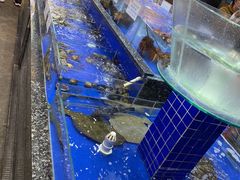 水产区-船家渔(徐州北路店)