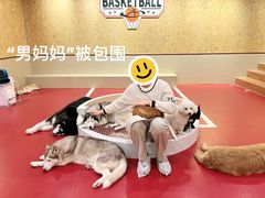 -和它·交个朋友·狗咖猫咖(爱琴海店)