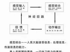 -金色雨林感统训练·专注力·语言认知·心理沙盘(天通苑校区)