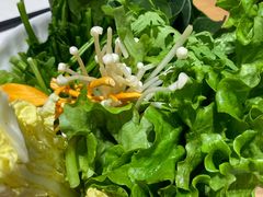 -掂档潮汕牛肉火锅(沈阳万象城店)