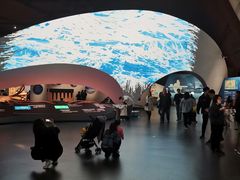 -贝林大翅鲸简餐厅(国家海洋博物馆店)