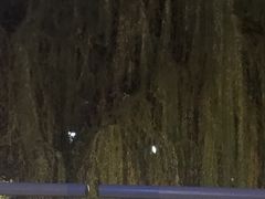 -南京奥林匹克体育中心-体育馆