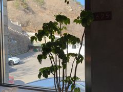 -京北渔家傲
