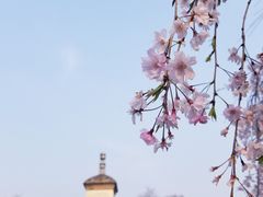 -西安青龙寺遗址景区