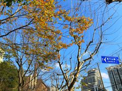 -苏州河梦清园环保主题公园