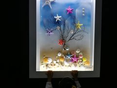 -贝壳王国博物馆