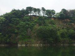 -王借岗森林公园