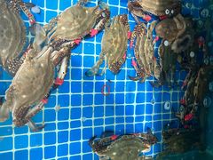 -宾朋海鲜饭庄(兴海路店)